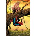 Komiks Spider-Man: Velká moc, velká odpovědnost_1242728031