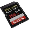 SanDisk SDXC Extreme Pro 256GB 95MB/s UHS-I U3 V30_306786231