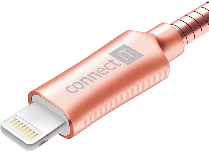 CONNECT IT Wirez Steel Knight Lightning - USB, metallic rose-gold, 2,1A, 1 m_777312892