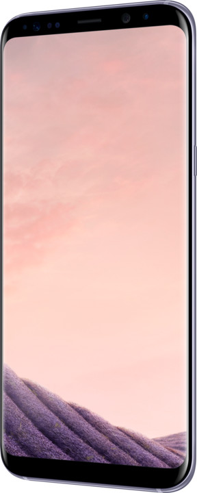 Samsung Galaxy S8+, 64GB, šedá_737024127