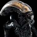 Figurka Alien - Xenomorph_976907185