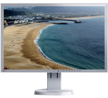EIZO FlexScan EV2336WFS-GY - LED monitor 23&quot;_931931206