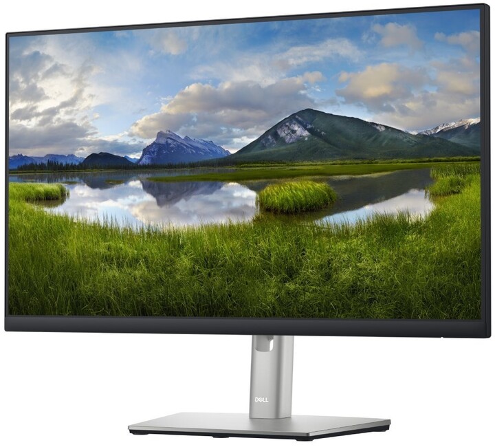 Dell P2422H Professional - LED monitor 23,8&quot;_1574556291