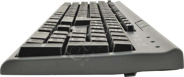 Chicony KU-9810 černá, USB, CZ_825641810