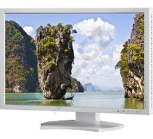 NEC MultiSync P241W, stříbrno-šedý - LCD monitor 24&quot;_959894222