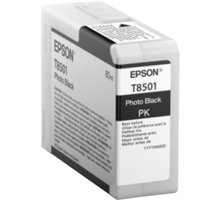 Epson T850100, (80ml), photo black C13T850100