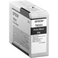 Epson T850100, (80ml), photo black