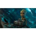 Baby Groot nás vezme do reality 314