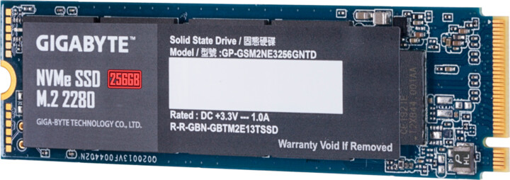 GIGABYTE SSD, M.2 - 256GB_1763027068