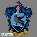 Tričko Harry Potter - Ravenclaw, dámské (M)_1085312841
