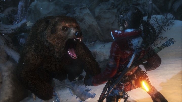 Rise of the Tomb Raider (PC)_840611218