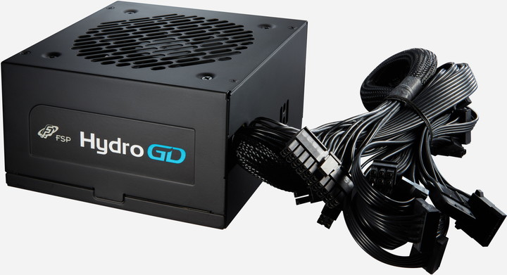 Fortron HYDRO GD - 650W_62460296