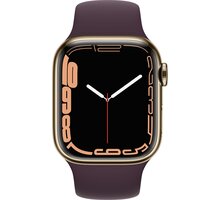 Apple Watch Series 7 Cellular, 41mm, Gold, Stainless Steel, Dark Cherry Sport Band_2095667236