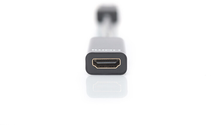 Digitus adaptér DisplayPort - HDMI, M/F, 15cm, černá