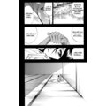 Komiks Bleach - Be my family or not, 21.díl, manga