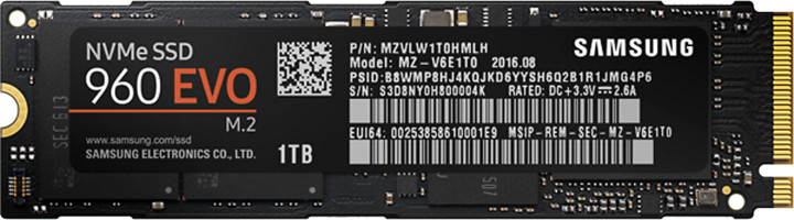 Samsung SSD 960 EVO (M.2) - 1TB_1402667080