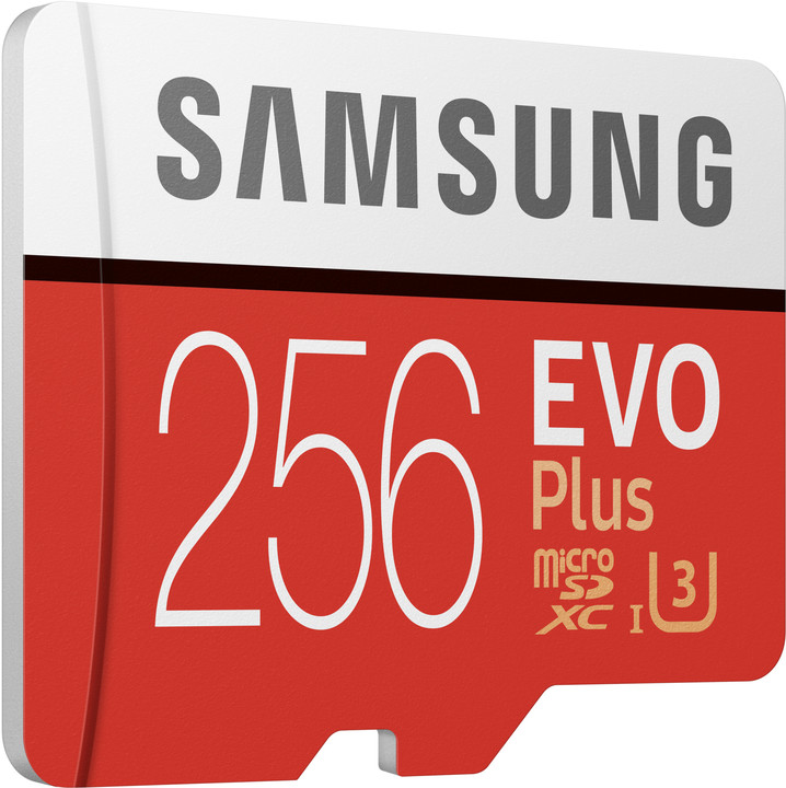 Samsung Micro SDXC EVO Plus 256GB UHS-I U3 + SD adaptér_1119960376