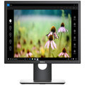 Dell Professional P1917S - LED monitor 19"