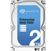 Seagate Enterprise NAS - 2TB_1772859403