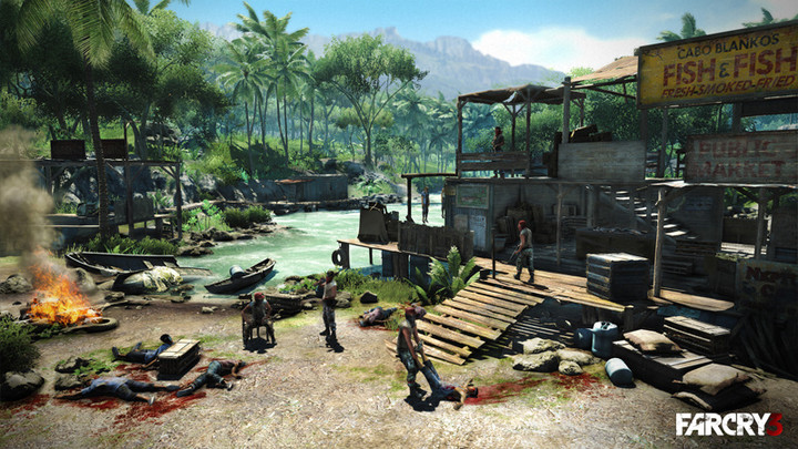Far Cry 3 (PS3)_1871329729