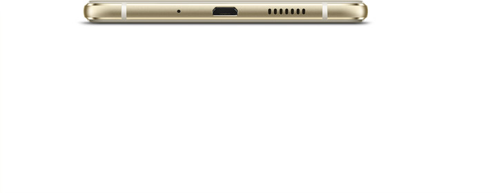 Huawei P10 Lite, Dual Sim, zlatá_206286519