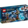 LEGO® Harry Potter 75945 Expecto patronum_961672313
