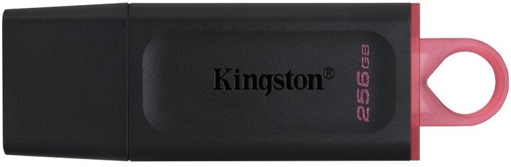 Kingston DataTraveler Exodia - 256GB, černá/červená_391023653