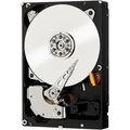 WD RE WD2004FBYZ - 2TB_154772470