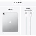 Apple iPad Pro Wi-Fi, 13&quot; 2024, 1TB, Silver, Sklo s nanotexturou_1824745382
