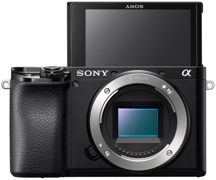 Sony Alpha 6100 + 16-50mm_1502470000