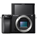 Sony Alpha 6100 + 16-50mm_1502470000