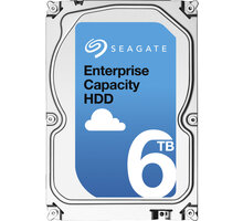 Seagate Enterprise Capacity SATA - 6TB_1246324622