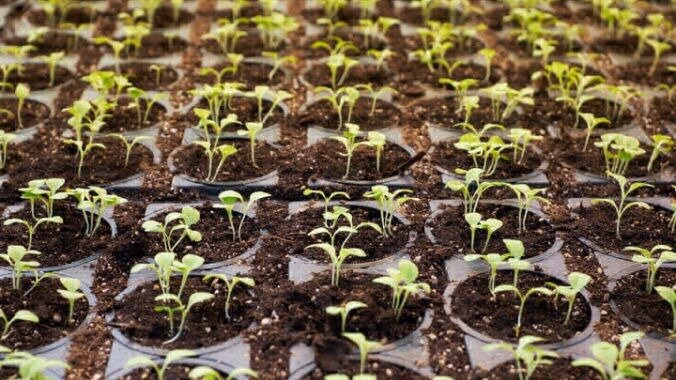 Omlouváme se, popis obrázku chybí.