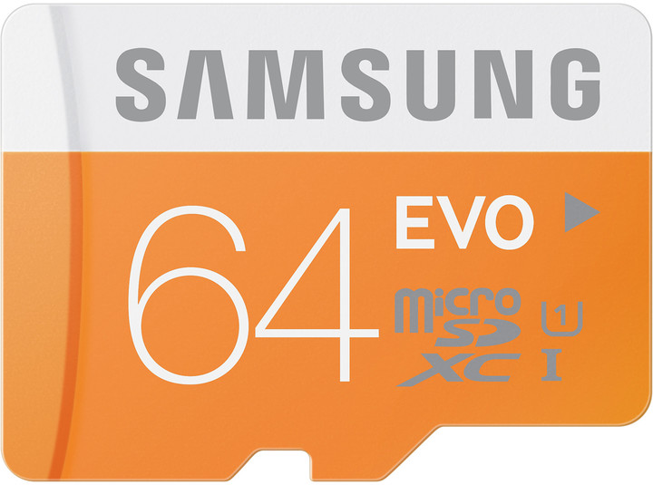 Samsung Micro SDXC EVO 64GB_1772629981