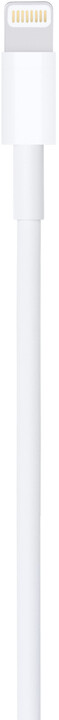Apple kabel USB-A - Lightning, M/M, nabíjecí, datový, 2m, bílá_2120371717