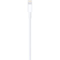 Apple kabel USB-A - Lightning, M/M, nabíjecí, datový, 2m, bílá_2120371717