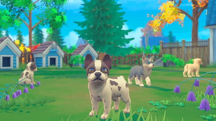 My Universe: Puppies and Kittens (SWITCH)_447415176