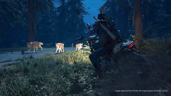 Days Gone (PS4)_317643364