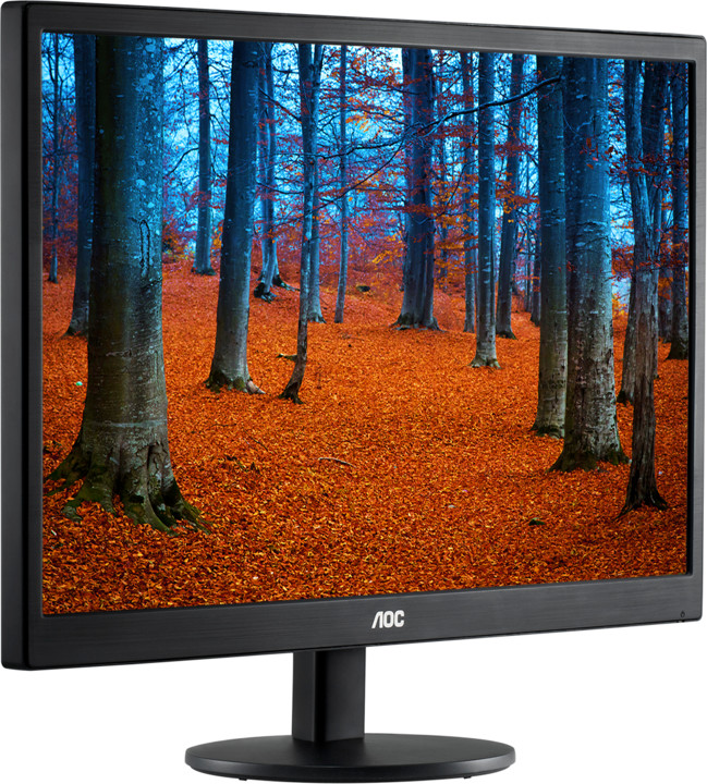 AOC e970swn - LED monitor 19&quot;_1073663651