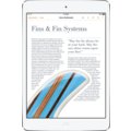 APPLE iPad Mini, Retina, 64GB, Wi-Fi, stříbrná_523972177