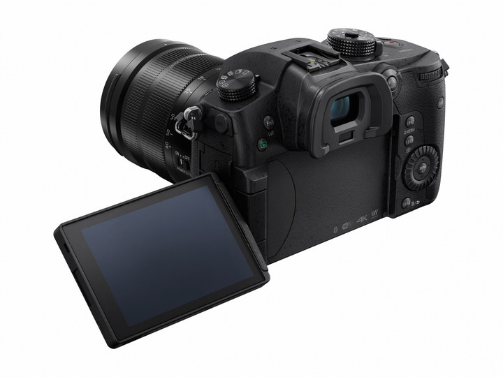 Panasonic Lumix DMC-GH5 + Leica DG 12-60mm f/2.8-4_451467627