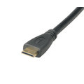 Akasa adapter HDMI na mini HDMI - 25 cm_1224189100