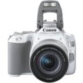 Canon EOS 250D + 18-55mm IS STM, bílá_1362183502