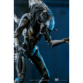 Figurka Aliens vs. Predator - Predalien_2084781342