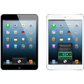 APPLE iPad mini, 16GB, černá_1669657181