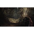 Blair Witch (PS4)_1938103522