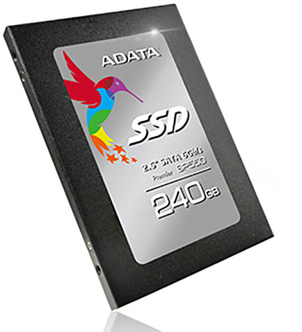 ADATA Premier SP550 - 240GB_2136052299