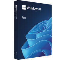 Microsoft Windows 11 Pro CZ 64-bit USB Flash Drive HAV-00178