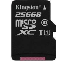 Kingston Micro SDXC Canvas Select 256GB 80MB/s UHS-I_410820629