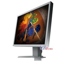 EIZO FlexScan S2100 - LCD monitor 21&quot;_310869060